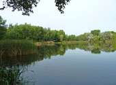 Baugrundstück am Schönefelder See