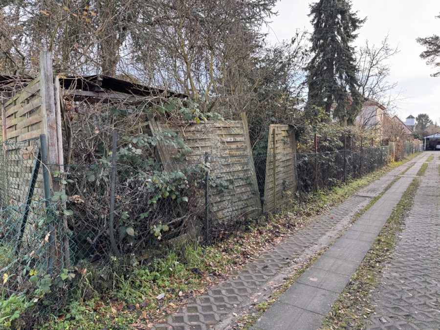 Westseite Grundstück