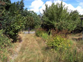 Baugrundstück Falkensee